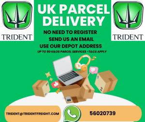 Image of Yellow Orange Colorful Package Delivery Instagram Post (facebook Post)(4)